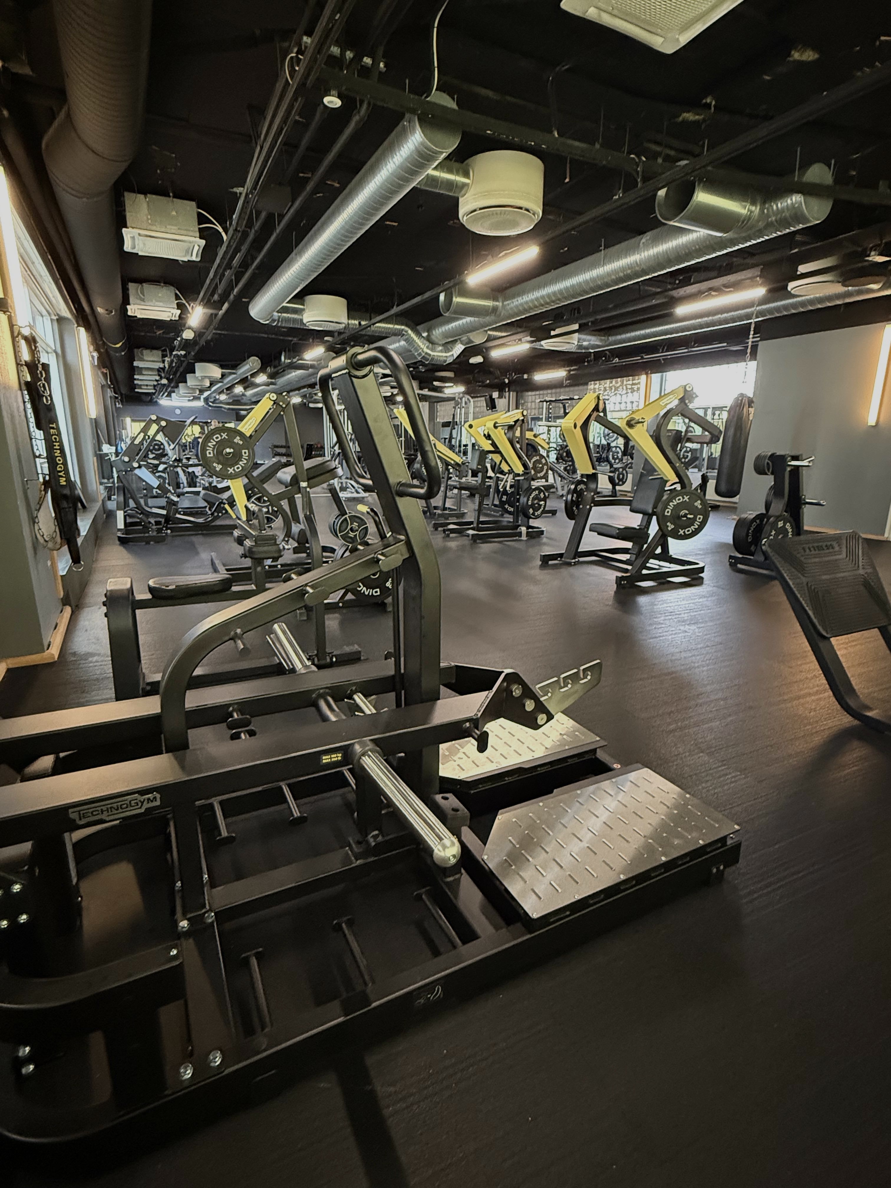 EasyFit Raisio vipuvarsilaitteet
