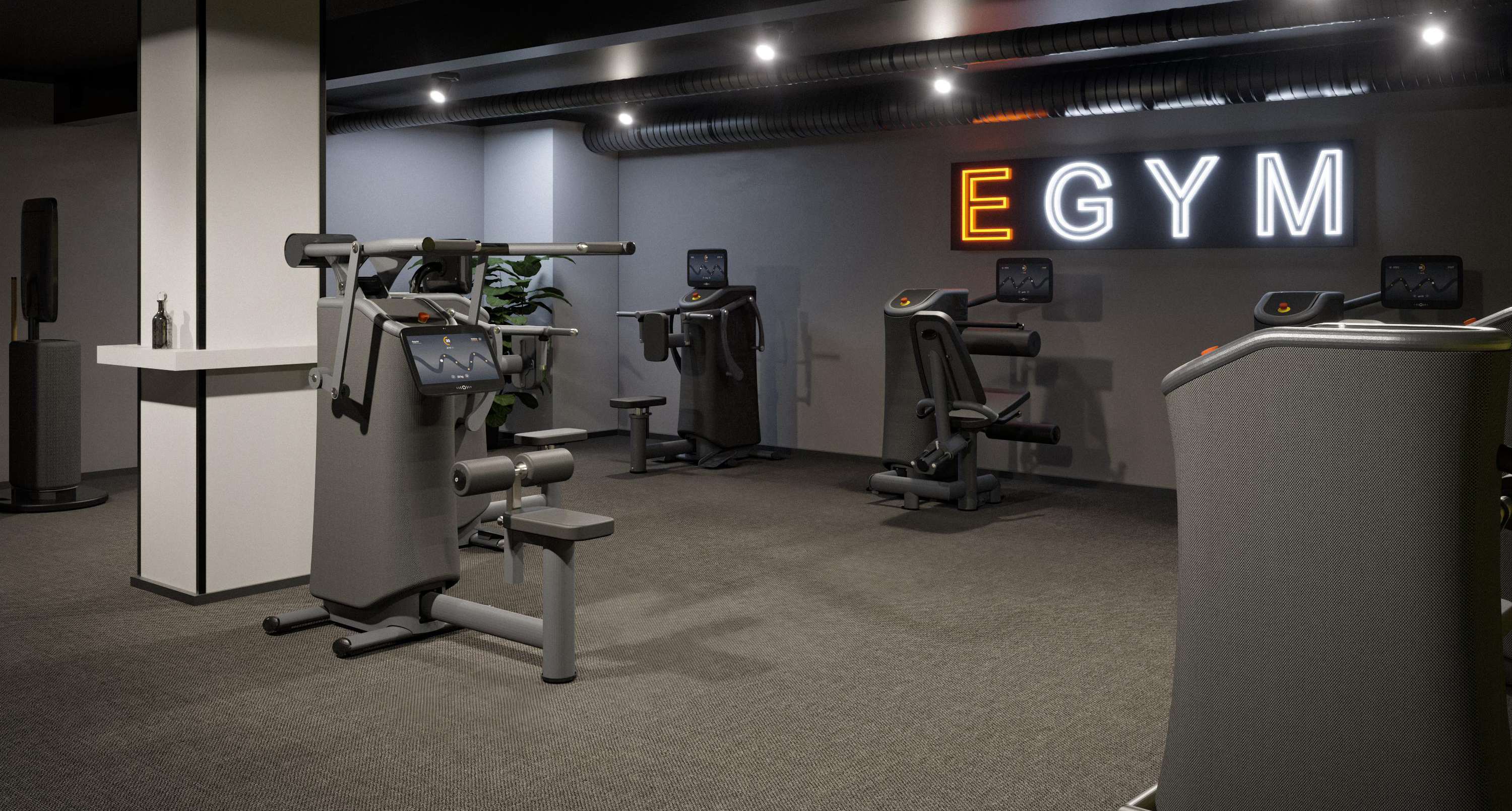 EasyFit Porovo EGYM